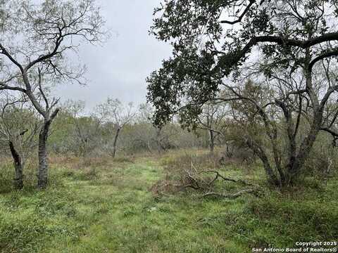 FM 466, Seguin, TX 78155