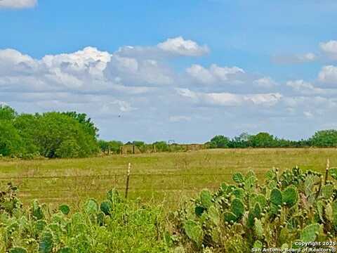 25.83 Ac tbd Kotara Ln/CR 257, Floresville, TX 78114