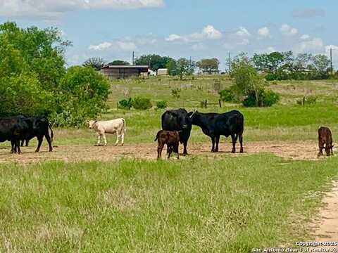 53.33 Kotara Lane/County Road 257, Floresville, TX 78114