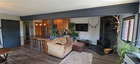 102 SALT LICK CIRCLE, Silverthorne, CO 80498
