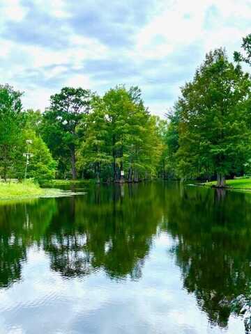 2642 Francis Marion Boulevard, Summerton, SC 29148