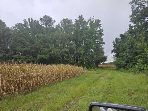 61.77 Ac Marion Church Rd, Salters, SC 29590