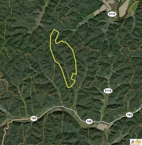 Black Branch Road, Burkesville, KY 42717