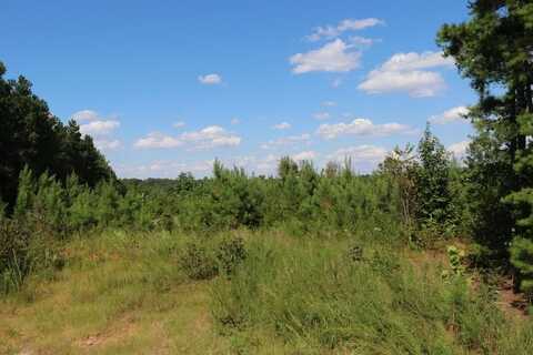 Davis Lowground Rd., Keysville, VA 23952