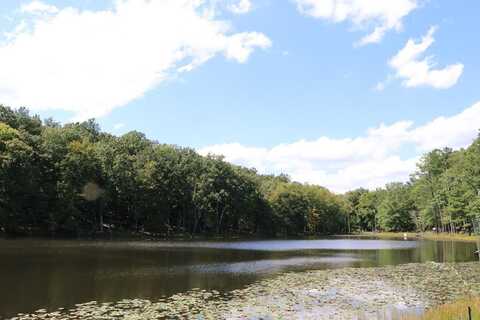 County Line Road, Keysville, VA 23947