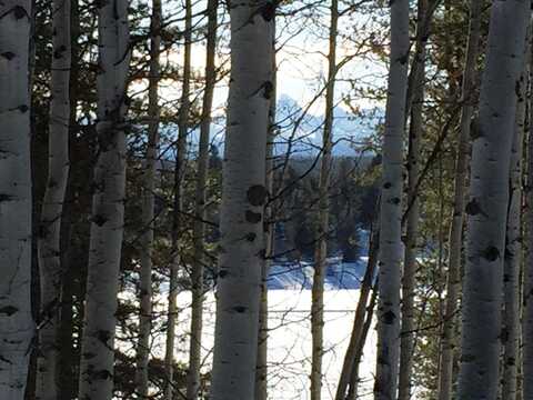 4367 N Ridgecrest Drive, Ashton, ID 83420