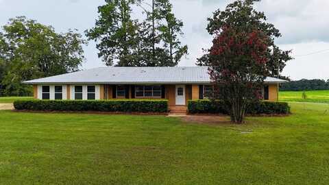 424 Grassy Flats Rd., Colquitt, GA 39837