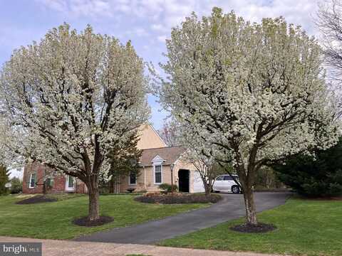 762 DAWES DRIVE, YARDLEY, PA 19067