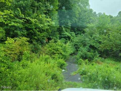 103 Southwest Locust Avenue, Norton, VA 24273