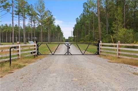 COUNTY RD 21 lot: 12, Moundville, AL 35474