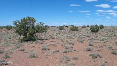 5127 Windmill Lane, Snowflake, AZ 85937