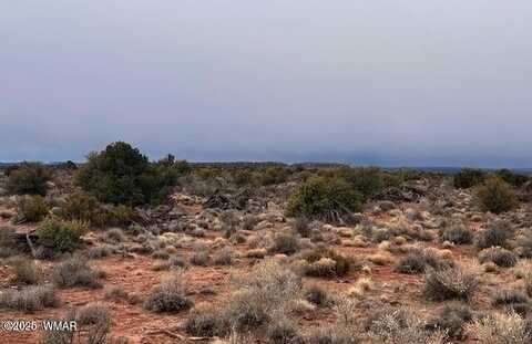 8698 Yaqui Lane, Snowflake, AZ 85937