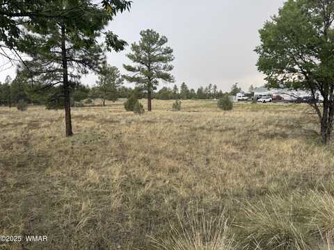 1900 W Commerce Drive, Pinetop, AZ 85935