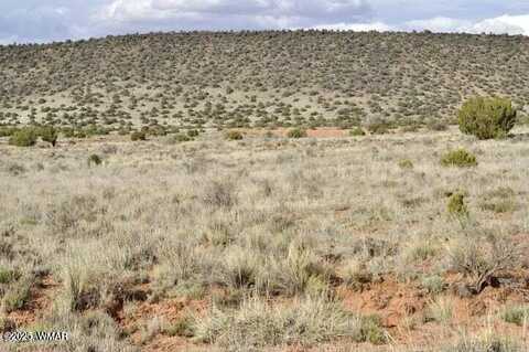 3871 Del Contento Road, Snowflake, AZ 85937