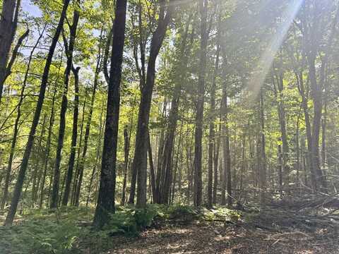 Parcel 1D Deklan Drive, Mio, MI 48647