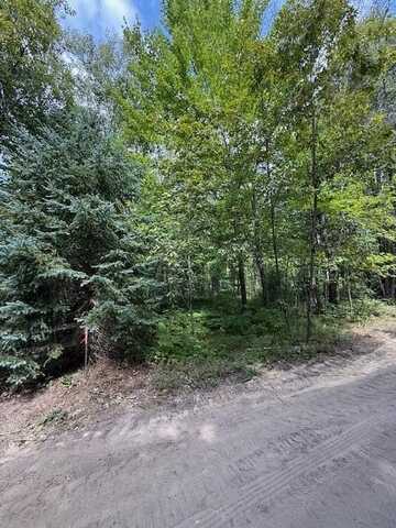 Parcel C Lutz Lane, Grayling, MI 49738