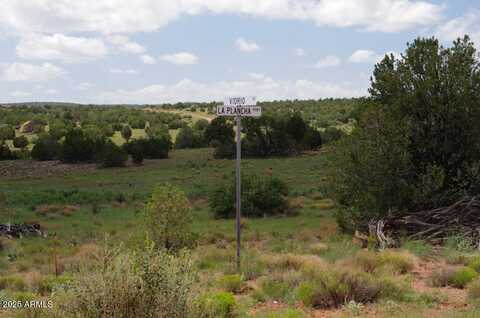 58800 N VIDRIO Road, Seligman, AZ 86337