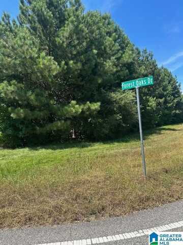 10563 CHELSEA ROAD, CHELSEA, AL 35043