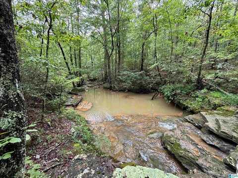 LOOP ROAD, STEELE, AL 35987