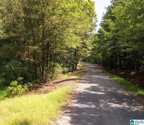 62 ACRES TONEY DRIVE, ALTOONA, AL 35952