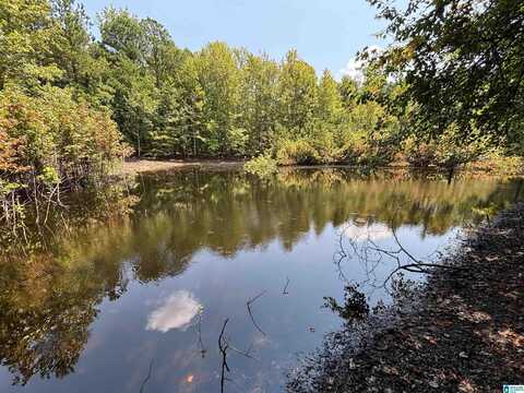 0 MOUNTAIN BROW DRIVE, ONEONTA, AL 35121