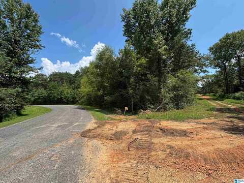 0 CLIFF SPRINGS ROAD, ONEONTA, AL 35121