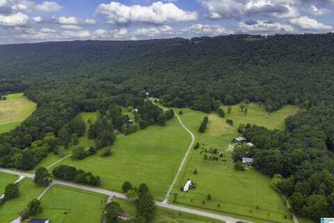 1187 CRAWFORDS COVE ROAD, SPRINGVILLE, AL 35146