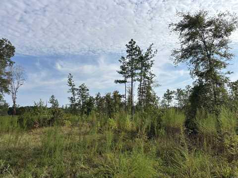 North Tract Grant County Road 68, Sheridan, AR 72150
