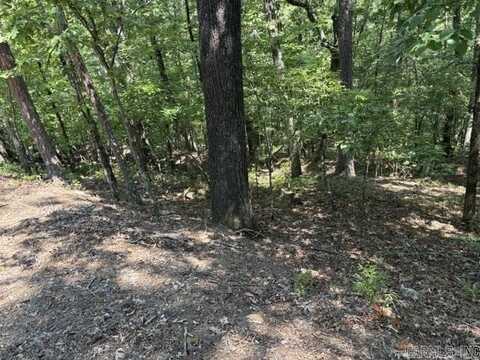 11 Nisa Ln Lane, Hot Springs Village, AR 71909