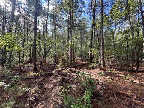South Tract Grant County Road 68, Sheridan, AR 72150