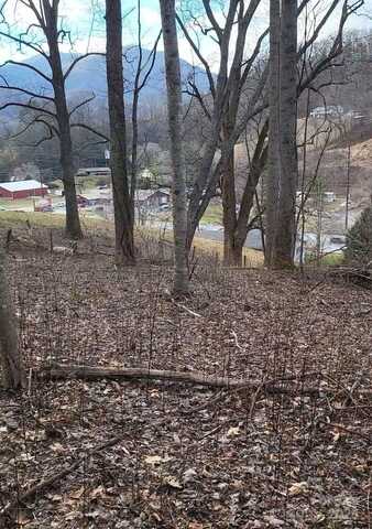 3009 Dellwood Road, Waynesville, NC 28786