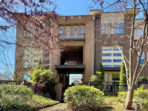 420 Queens Road unit: 1, Charlotte, NC 28207