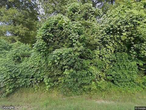 Coontail, ABERDEEN, MS 39730