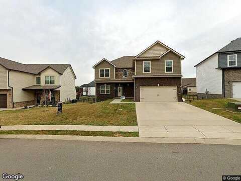 Rafiki, CLARKSVILLE, TN 37042