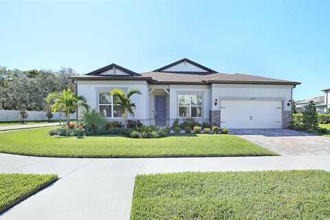 Sharp Hawk, RIVERVIEW, FL 33569