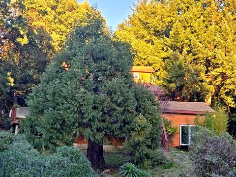 Burns, WHITETHORN, CA 95589