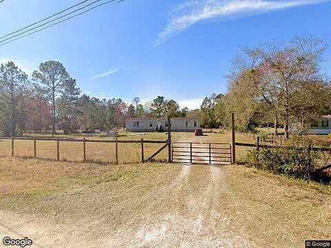Dandelion, MIDDLEBURG, FL 32068