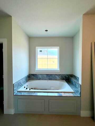 Pindo Palm, LUMBERTON, TX 77657