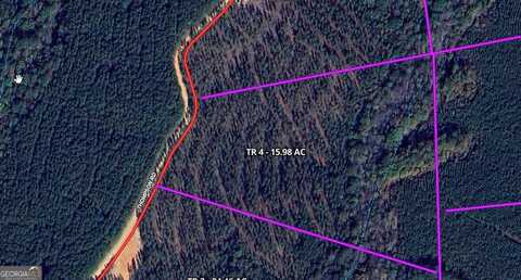 Tr 4 15.976 Ac Pike, Franklin, GA 30217