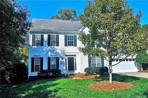 Blueberry, CHARLOTTE, NC 28226