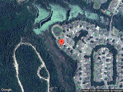 Wild Egret, CRESTVIEW, FL 32536