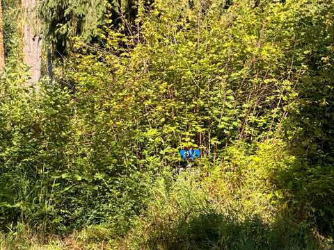 Skinner, GRANITE FALLS, WA 98252