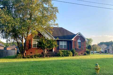Wagoners, WESTMORELAND, TN 37186