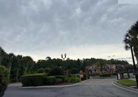 Silver Buttonwood, ORLANDO, FL 32832