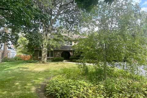 Brassie, FLOSSMOOR, IL 60422