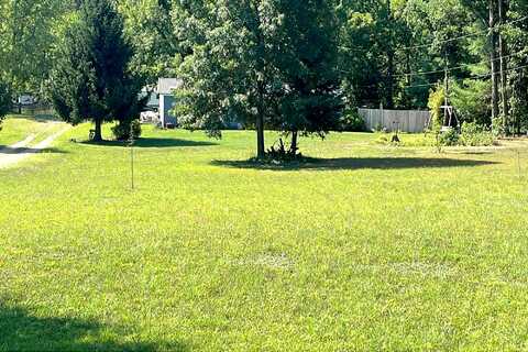 Sidney, GOWEN, MI 49326