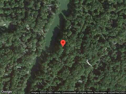 Larkspur, LOCUST GROVE, VA 22508