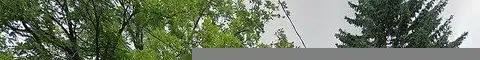 Garden, NIAGARA FALLS, NY 14305