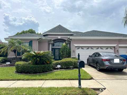 Blue Beech, TRINITY, FL 34655