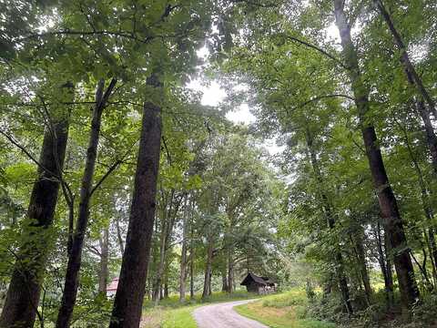 Foggy Mountain, BELVIDERE, TN 37306